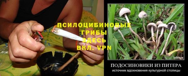 прущие крисы Балабаново