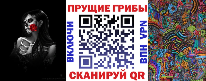 Псилоцибиновые грибы Psilocybine cubensis как найти наркотики Бабаево
